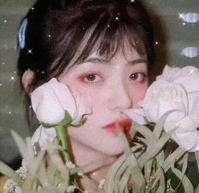 情欲王朝